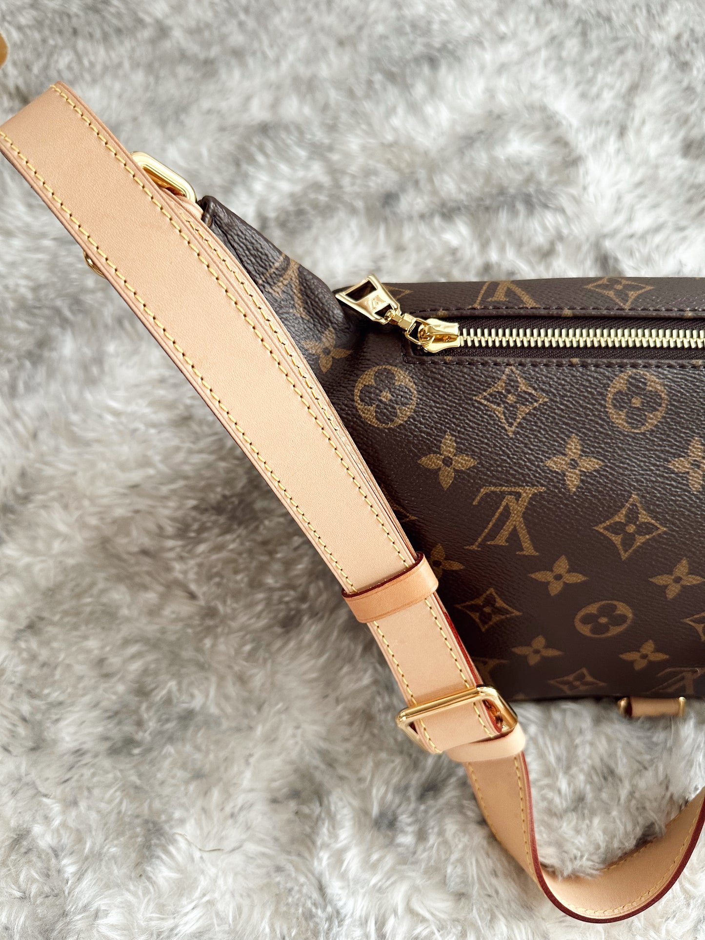 Louis Vuitton Bumbag 2