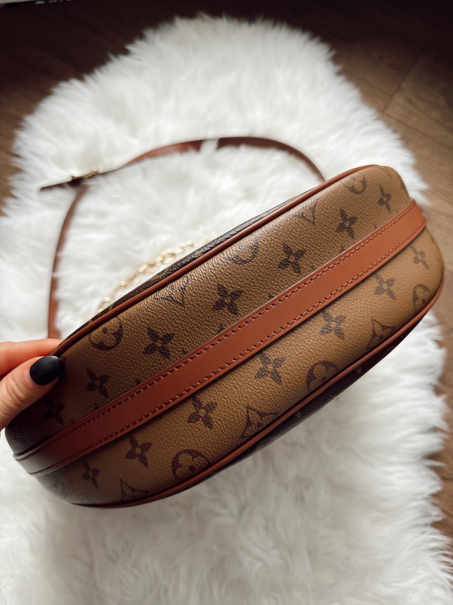 Louis Vuitton Loop Hobo Bag