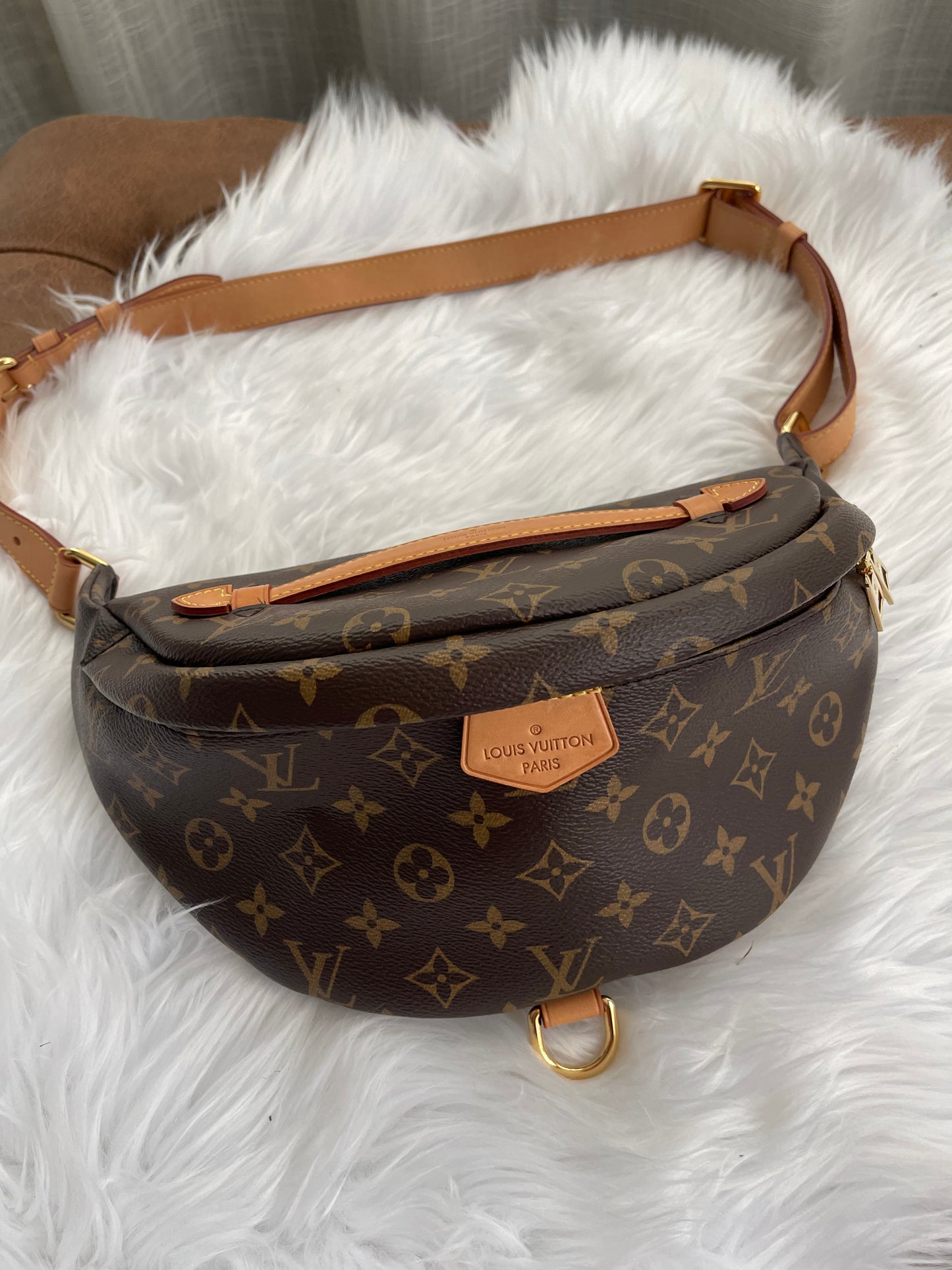 Louis Vuitton Bumbag