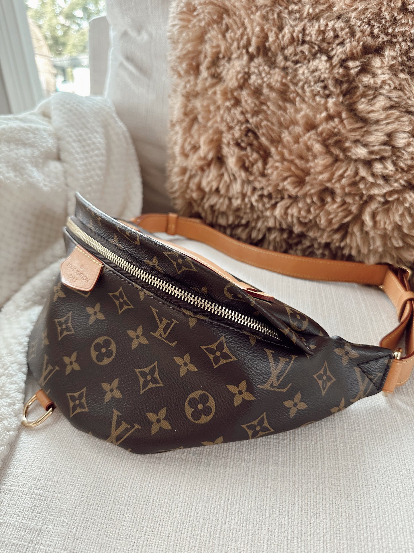 Louis Vuitton Bumbag 1