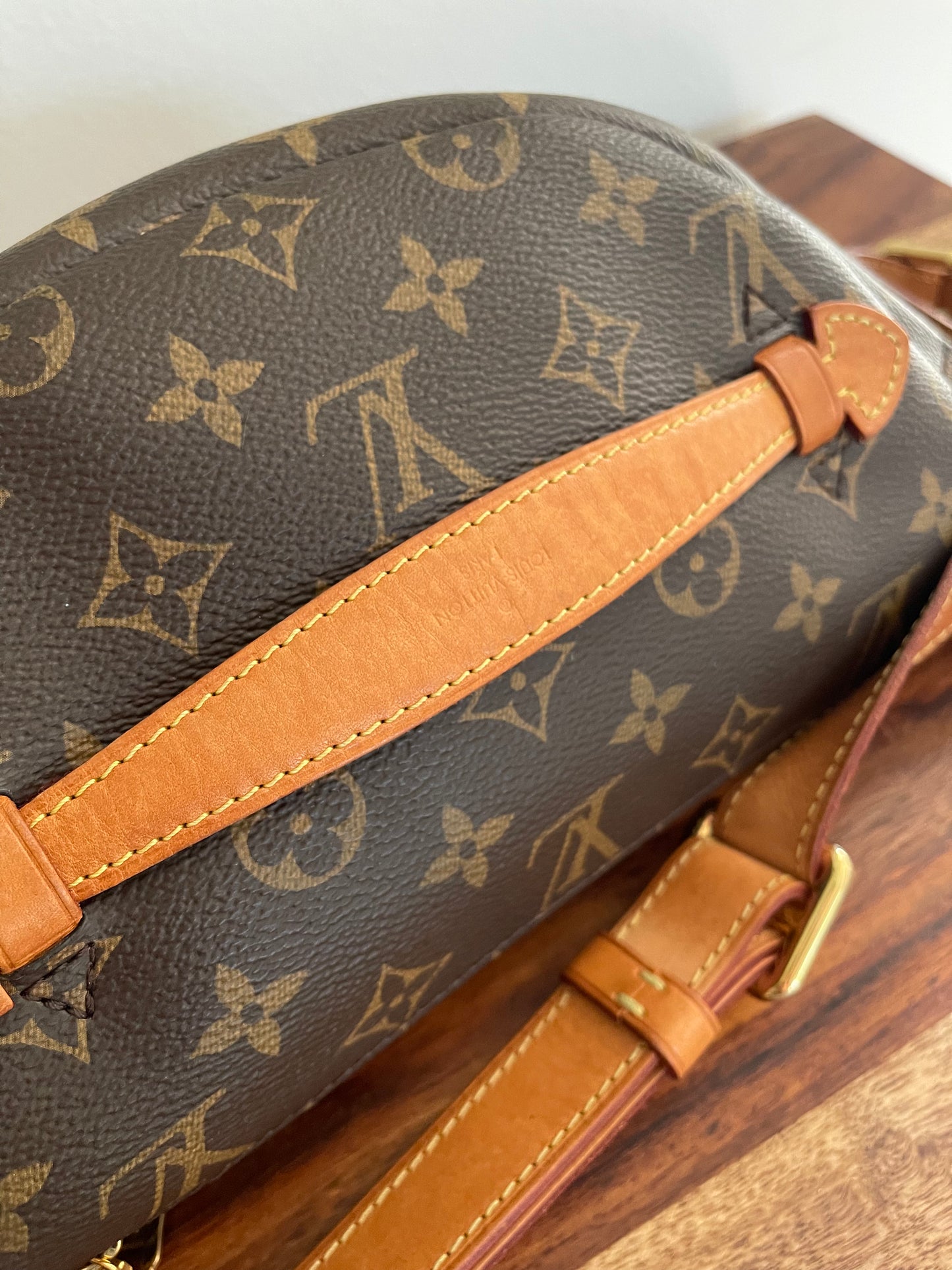 Louis Vuitton Monogram Bumbag