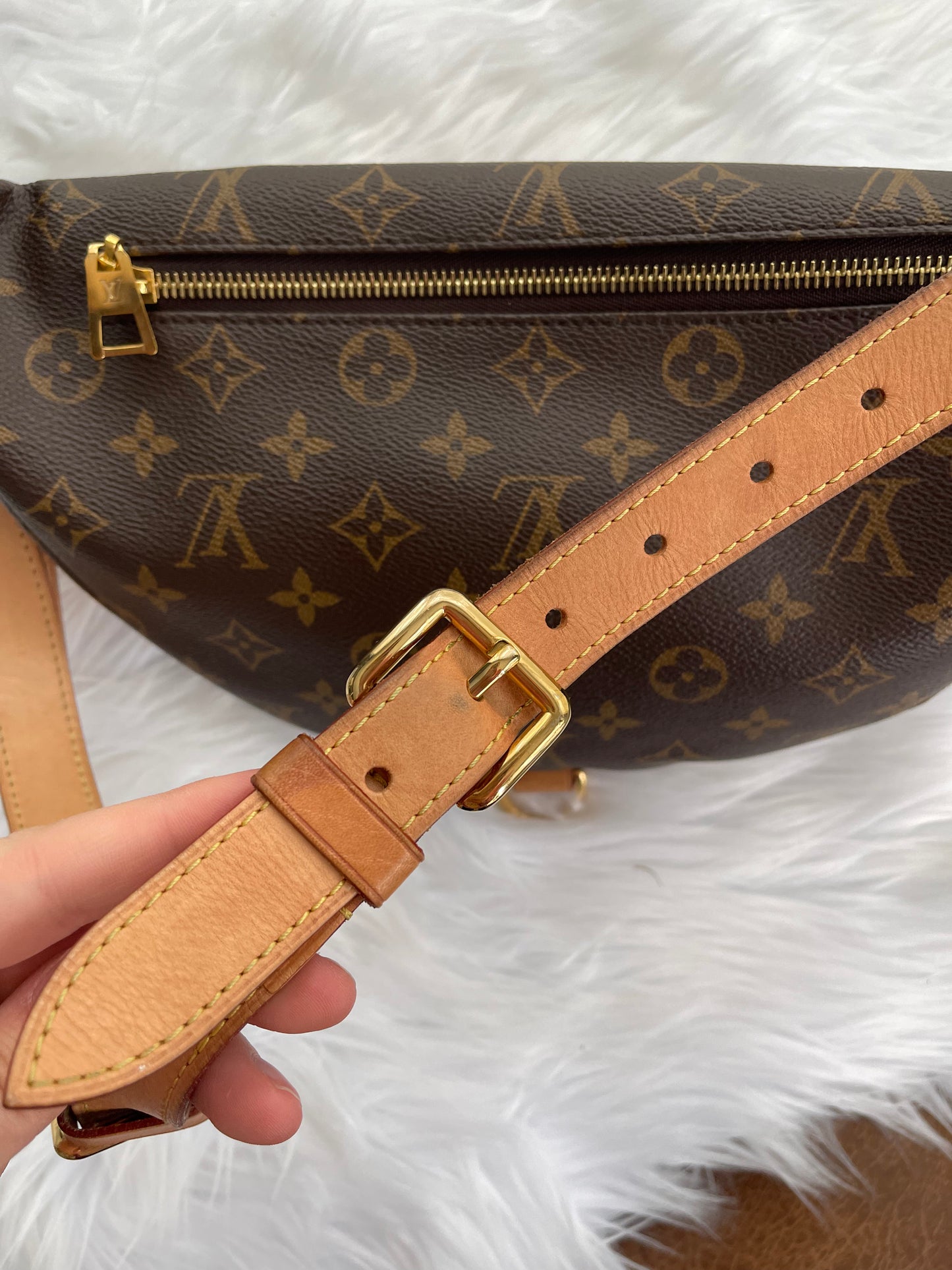 Louis Vuitton Bumbag