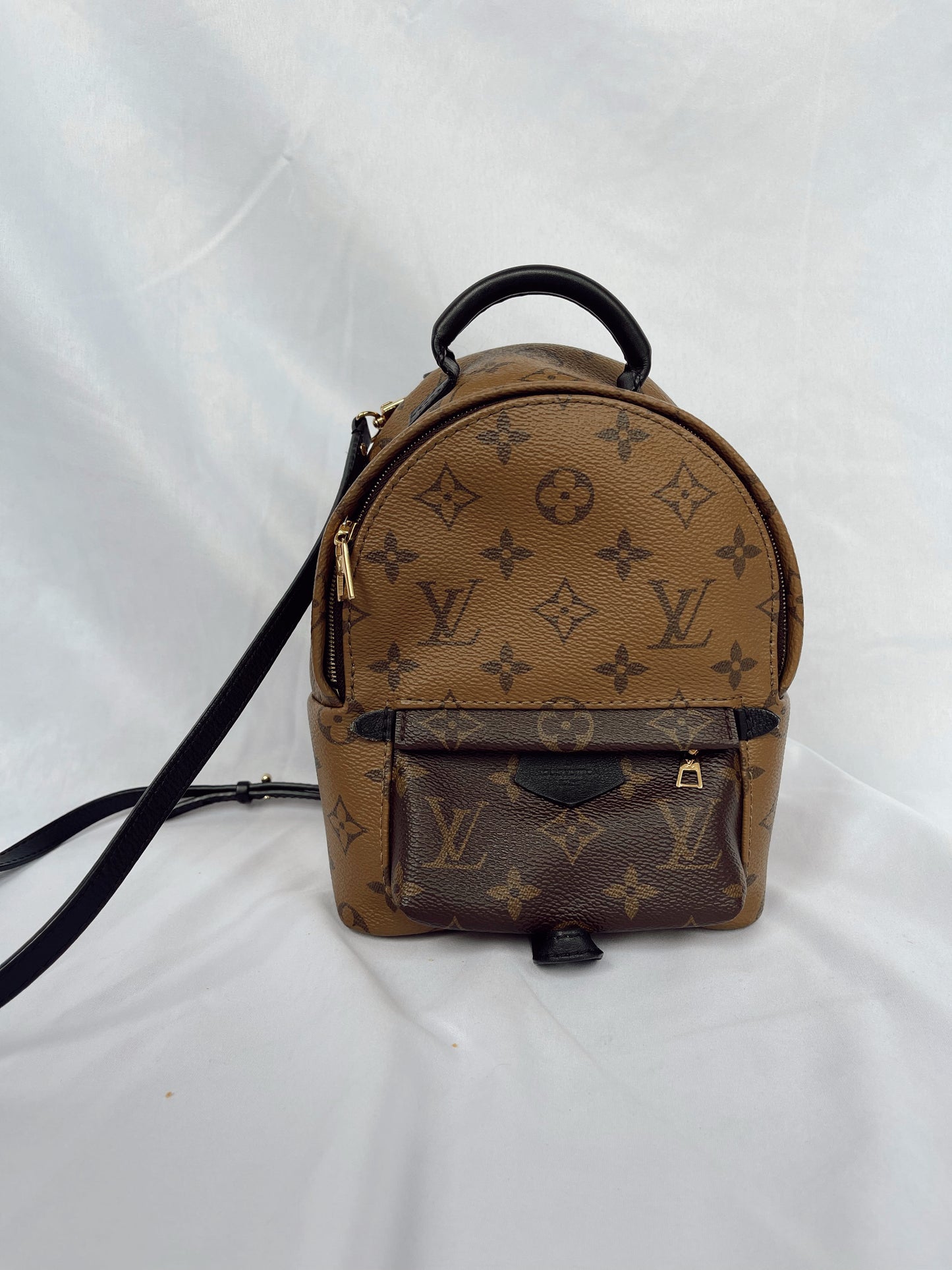 Louis Vuitton Palm Springs Mini Backpack