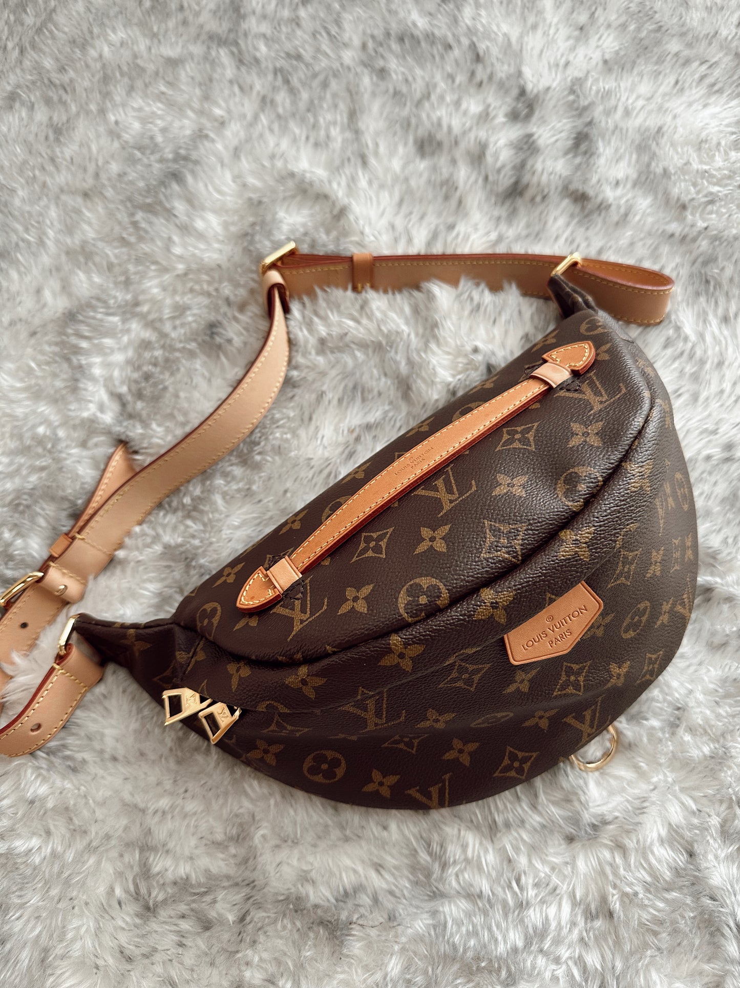 Louis Vuitton Bumbag 2