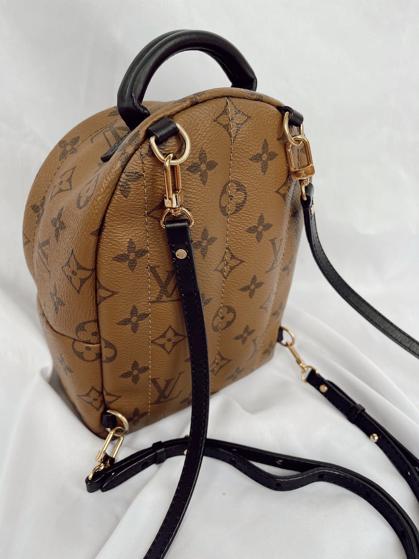 Louis Vuitton Palm Springs Mini Backpack