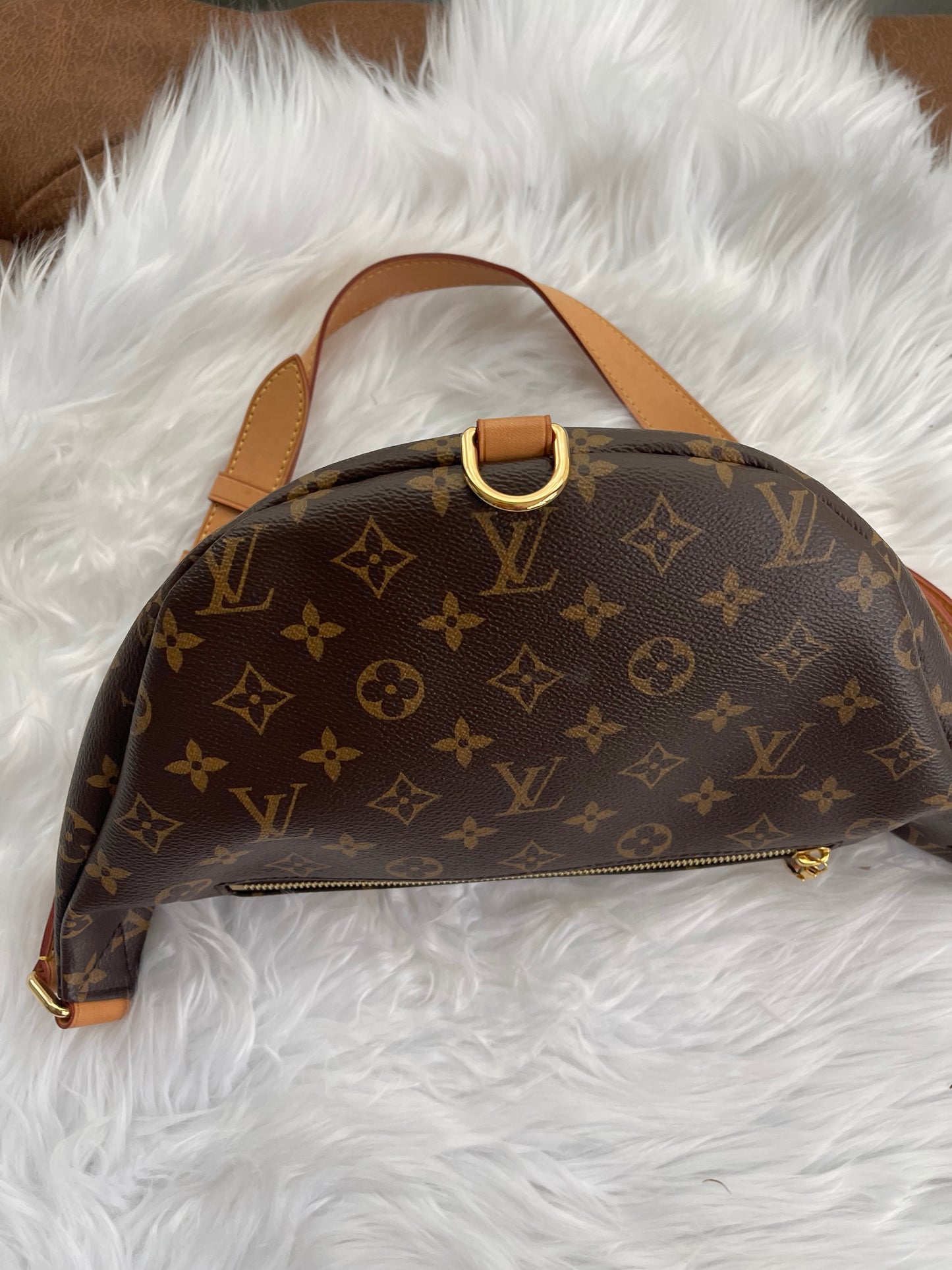 Louis Vuitton Bumbag