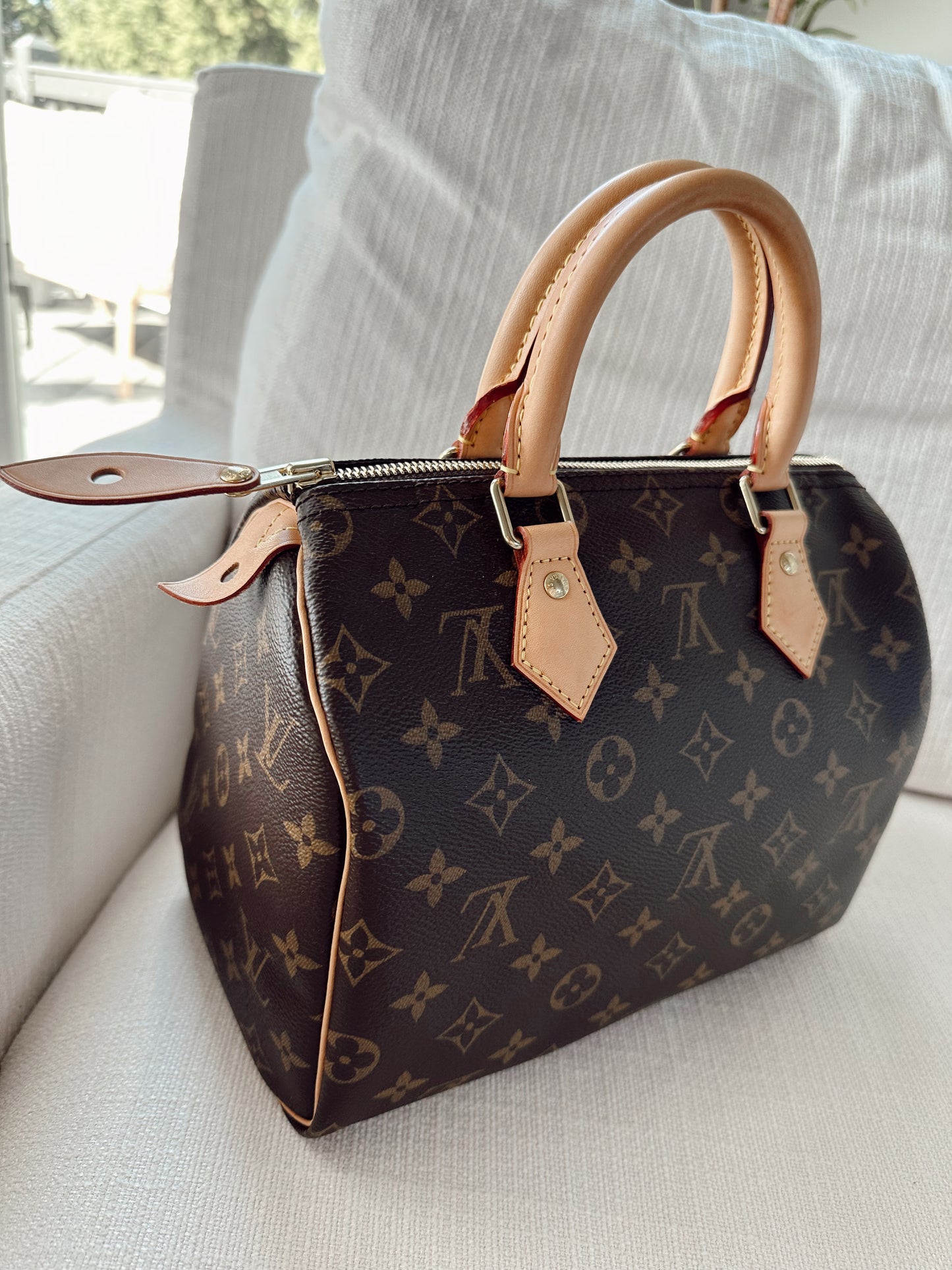 Louis Vuitton Monogram Speedy 25