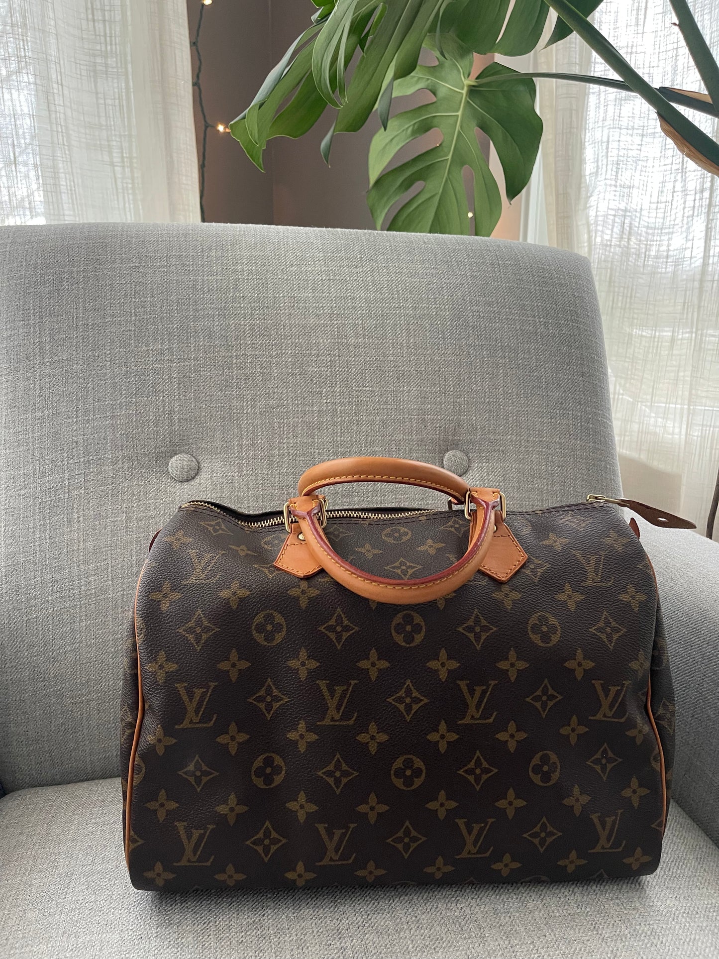 Louis Vuitton Speedy 30