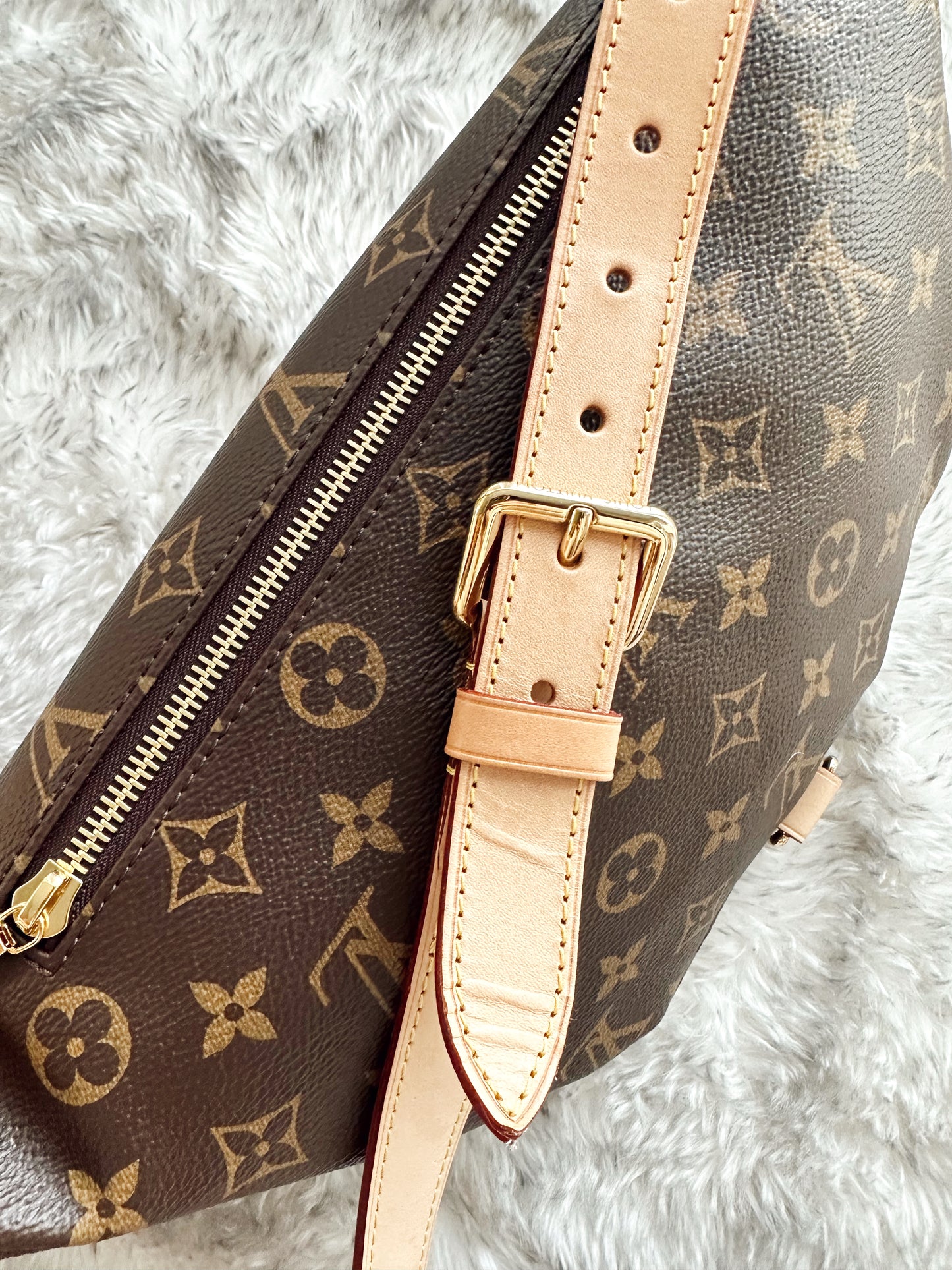 Louis Vuitton Bumbag 2