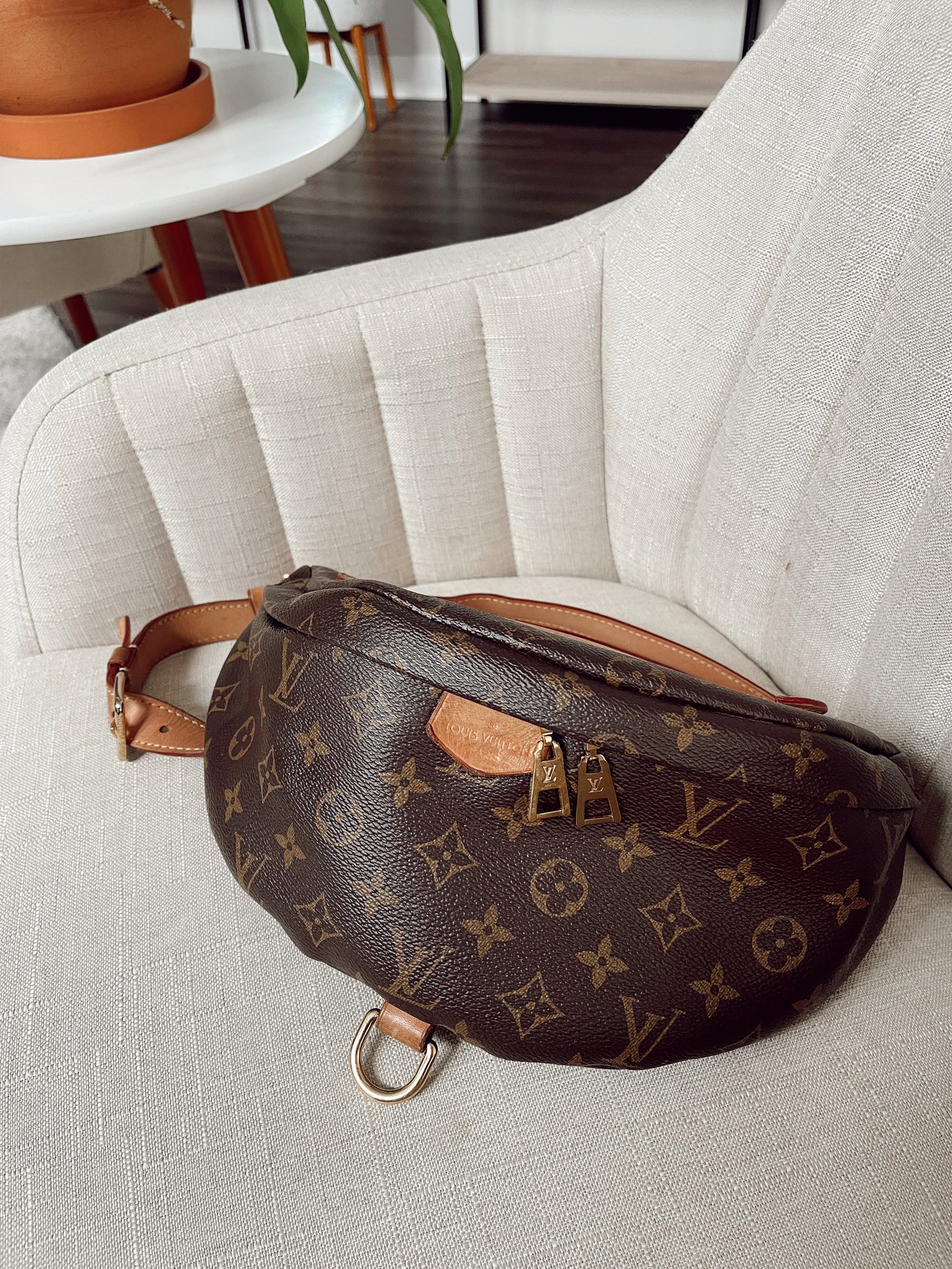 Louis Vuitton Bumbag