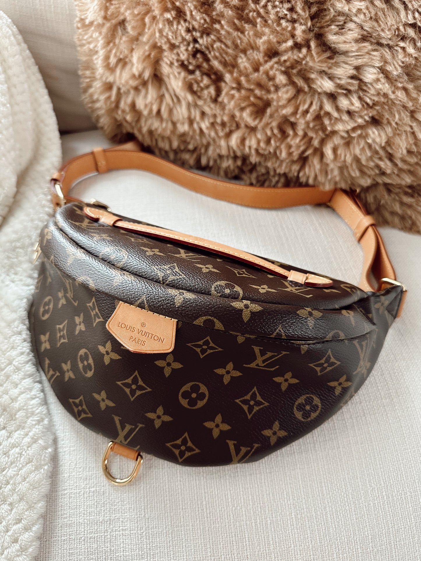 Louis Vuitton Bumbag 1