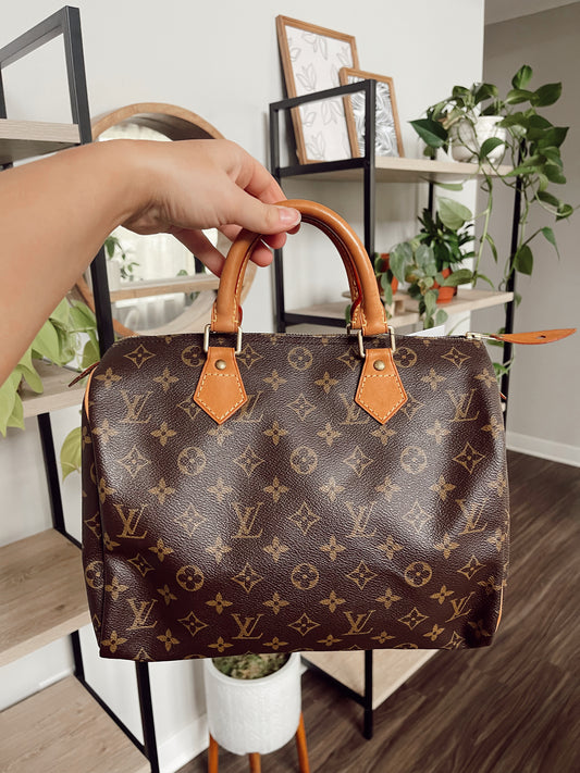 Louis Vuitton Speedy 30 Monogram