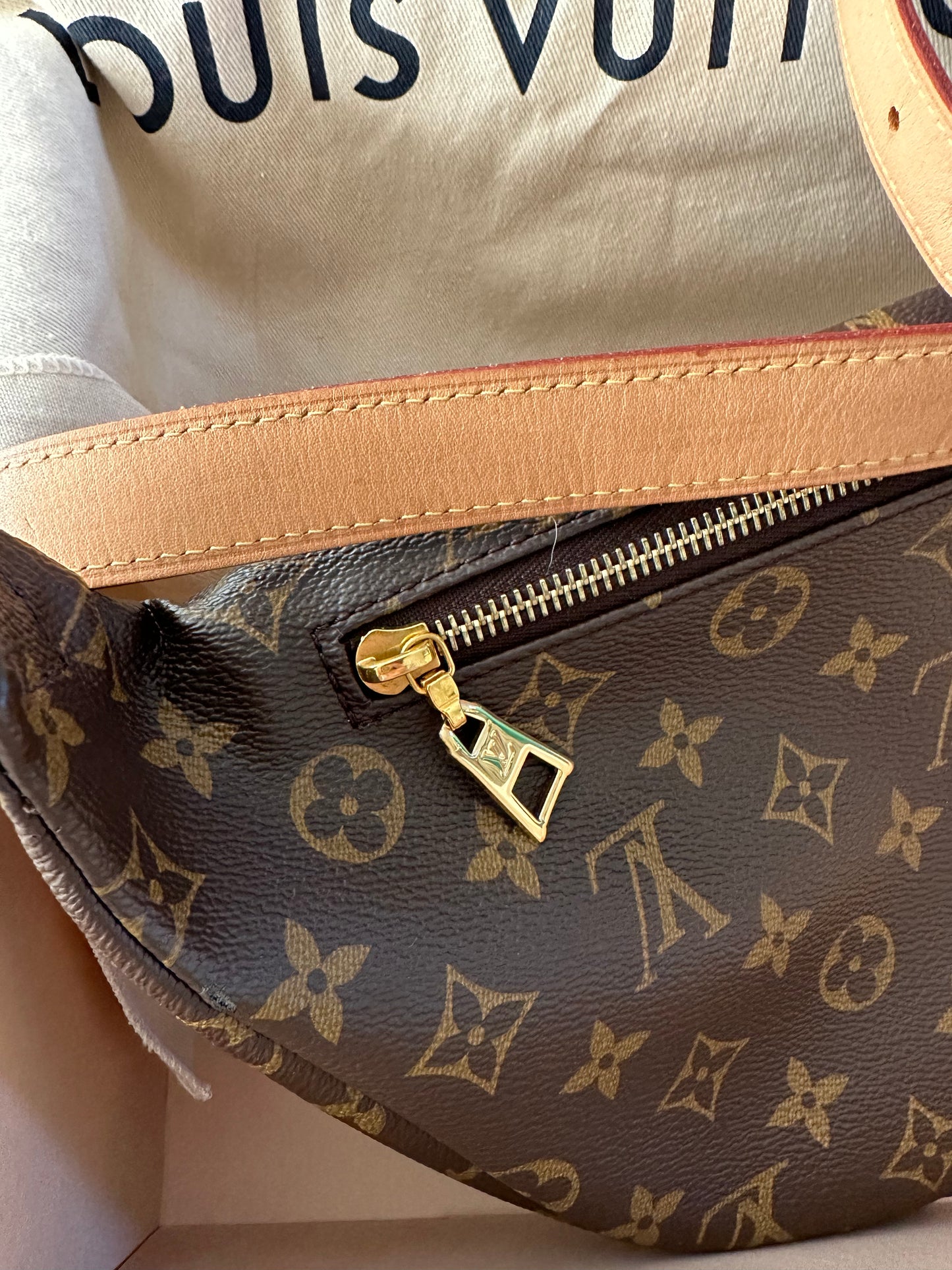 Louis Vuitton Bumbag