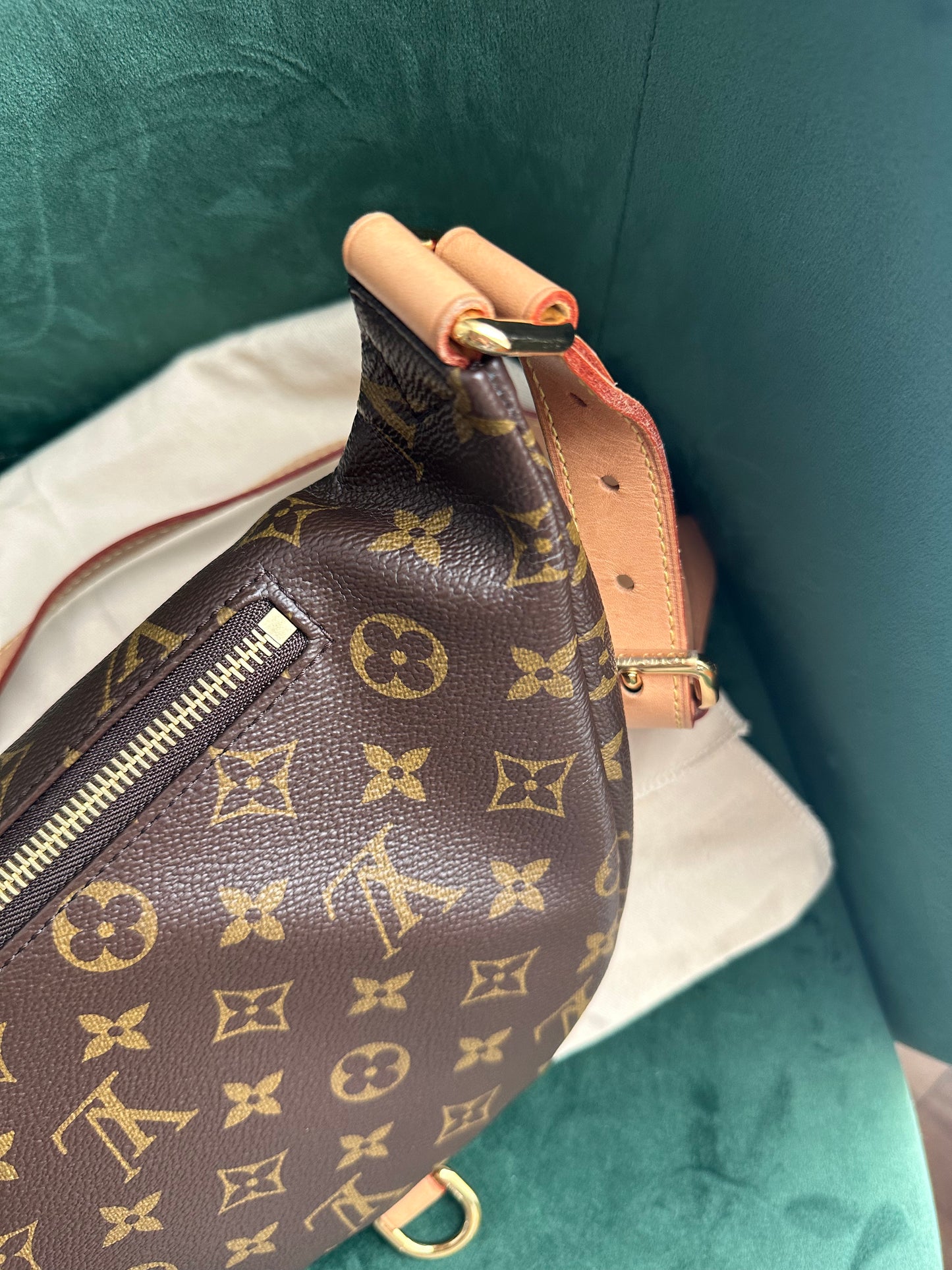 Louis Vuitton Bumbag