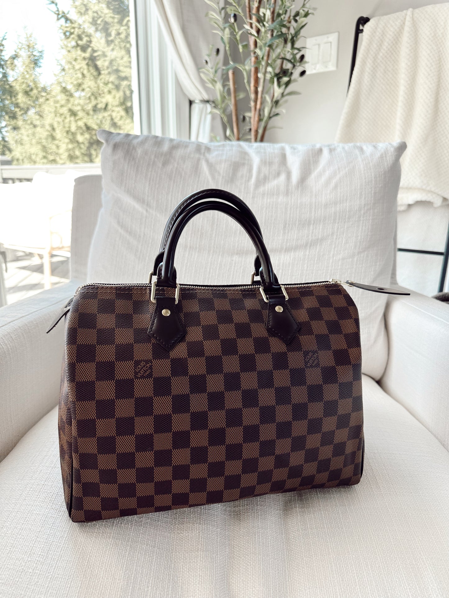 Louis Vuitton Speedy 30 Damier Ebene