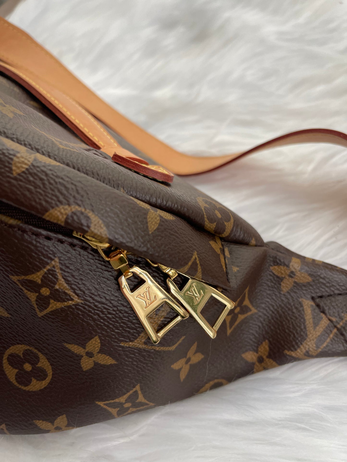 Louis Vuitton Bumbag