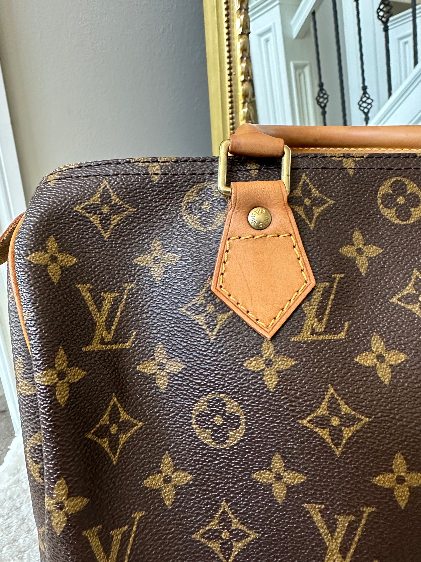 Louis Vuitton Speedy 30