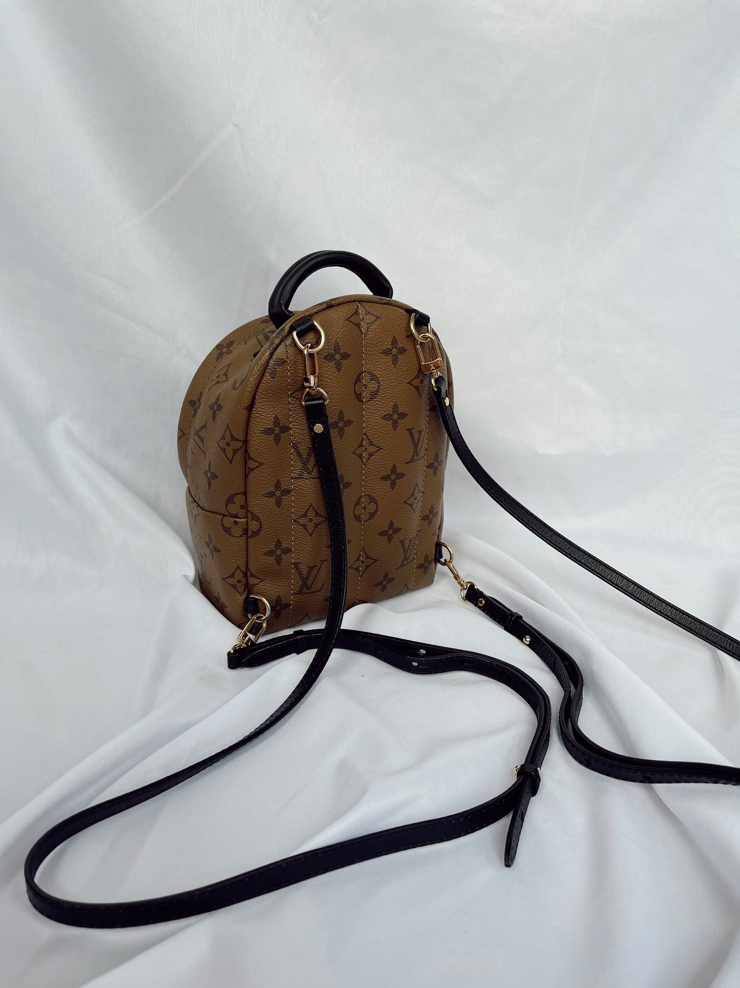 Louis Vuitton Palm Springs Mini Backpack