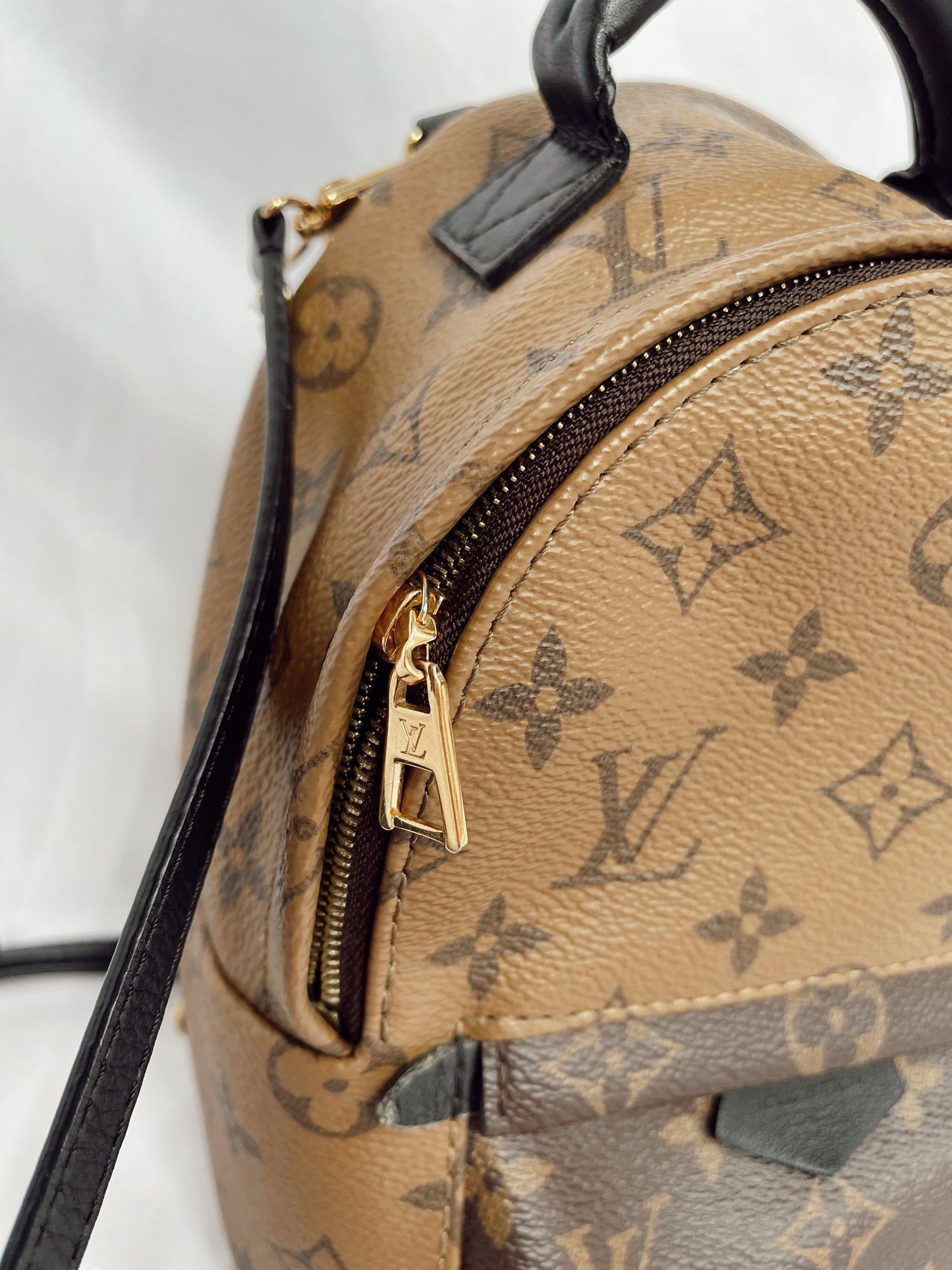 Louis Vuitton Palm Springs Mini Backpack