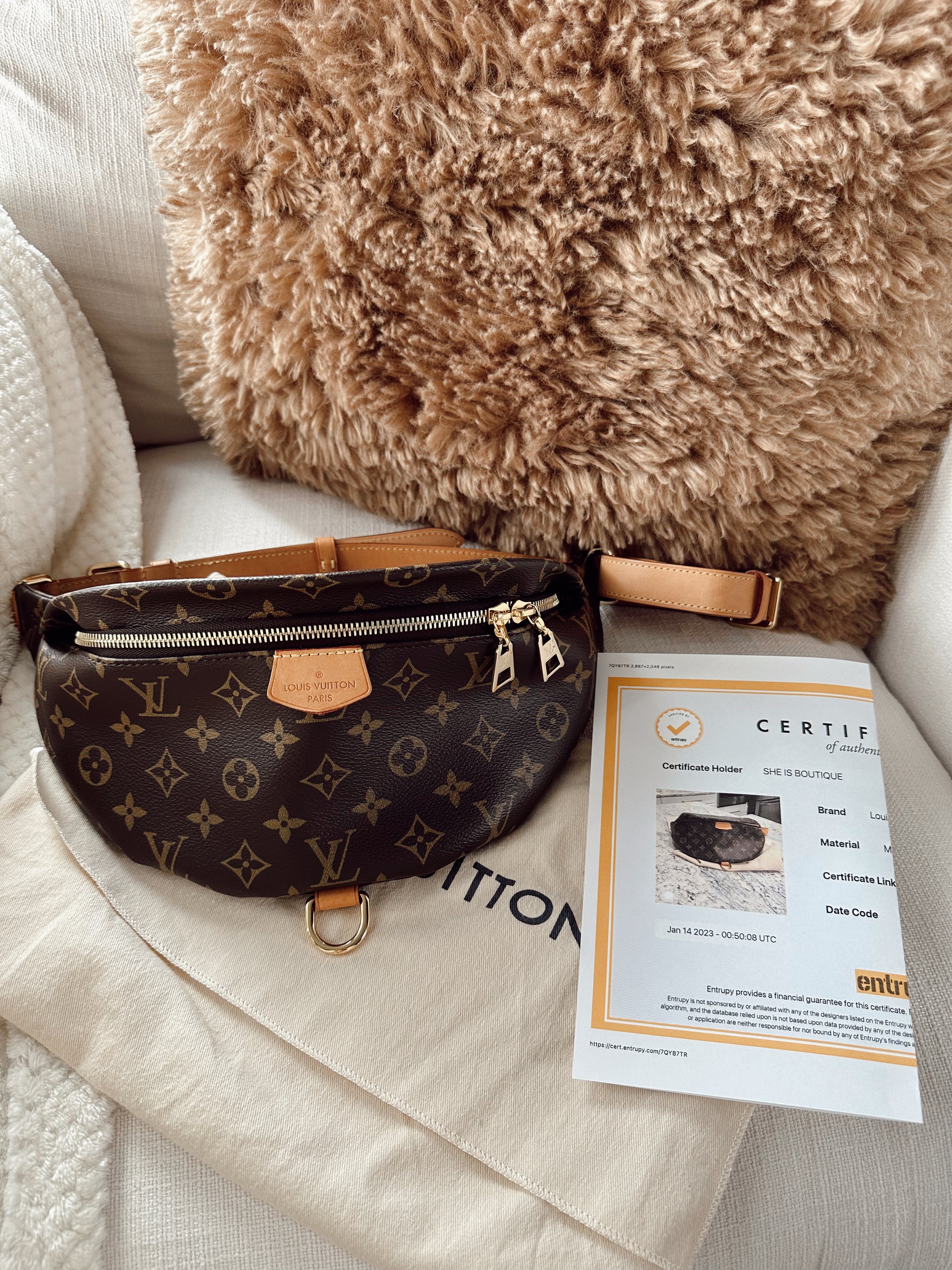 Louis Vuitton Bumbag - 21 For Sale on 1stDibs
