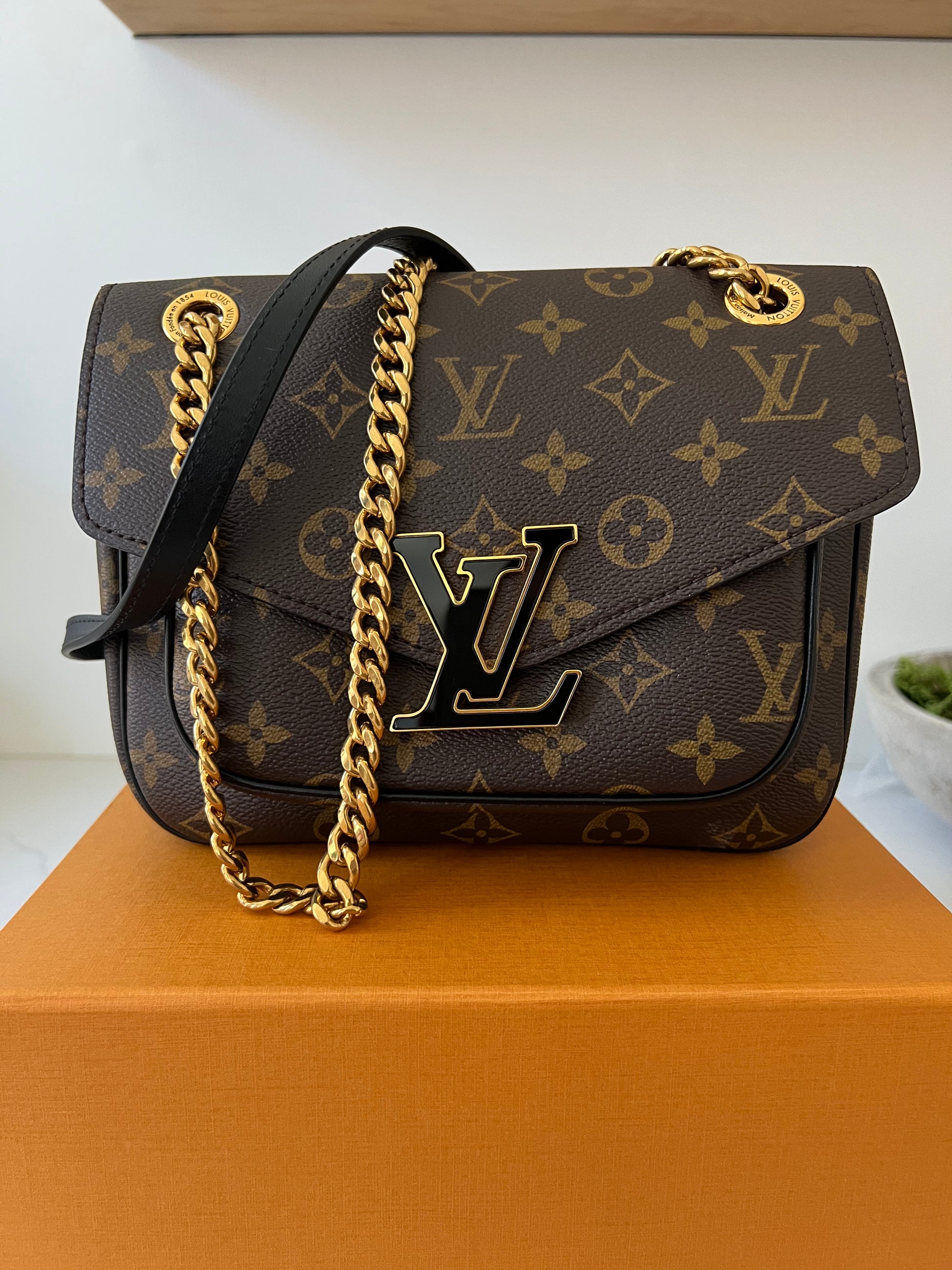 Louis Vuitton Passy Handbag 359588