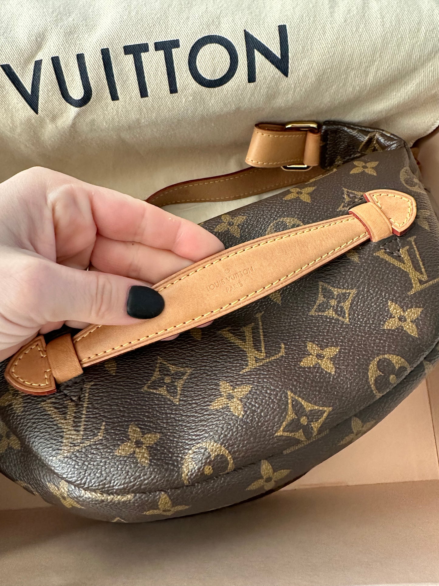 Louis Vuitton Bumbag