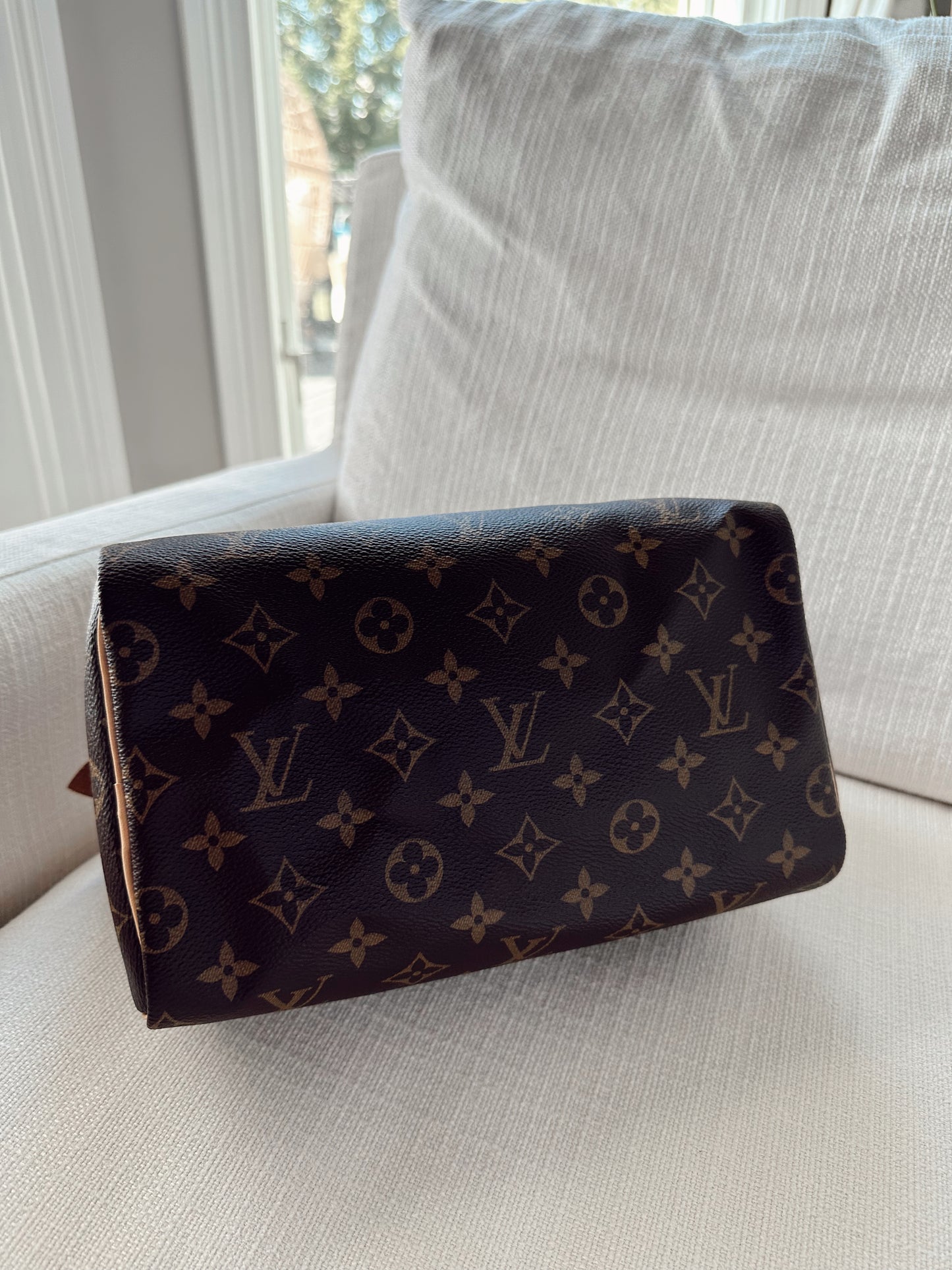 Louis Vuitton Monogram Speedy 25