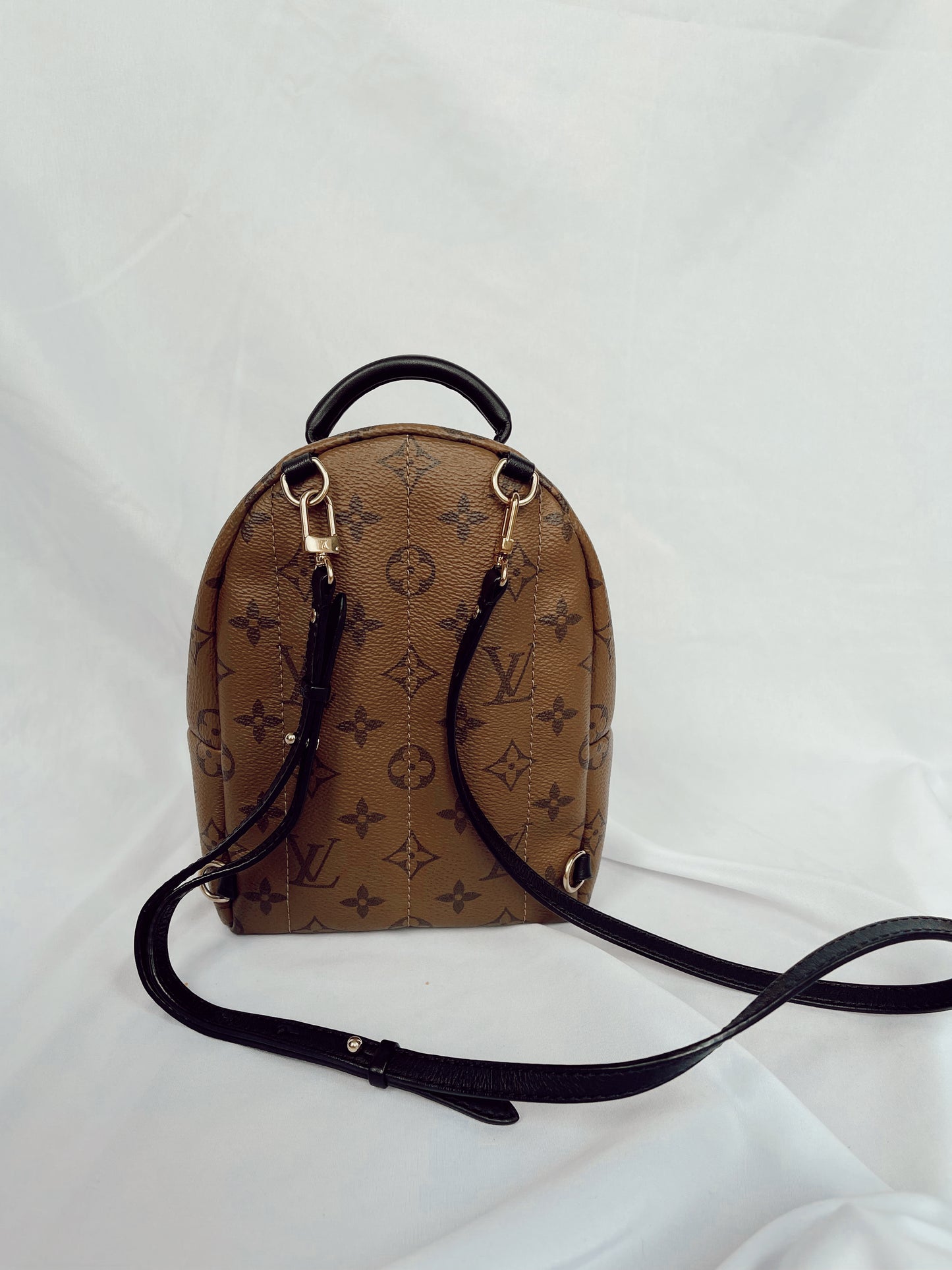 Louis Vuitton Palm Springs Mini Backpack