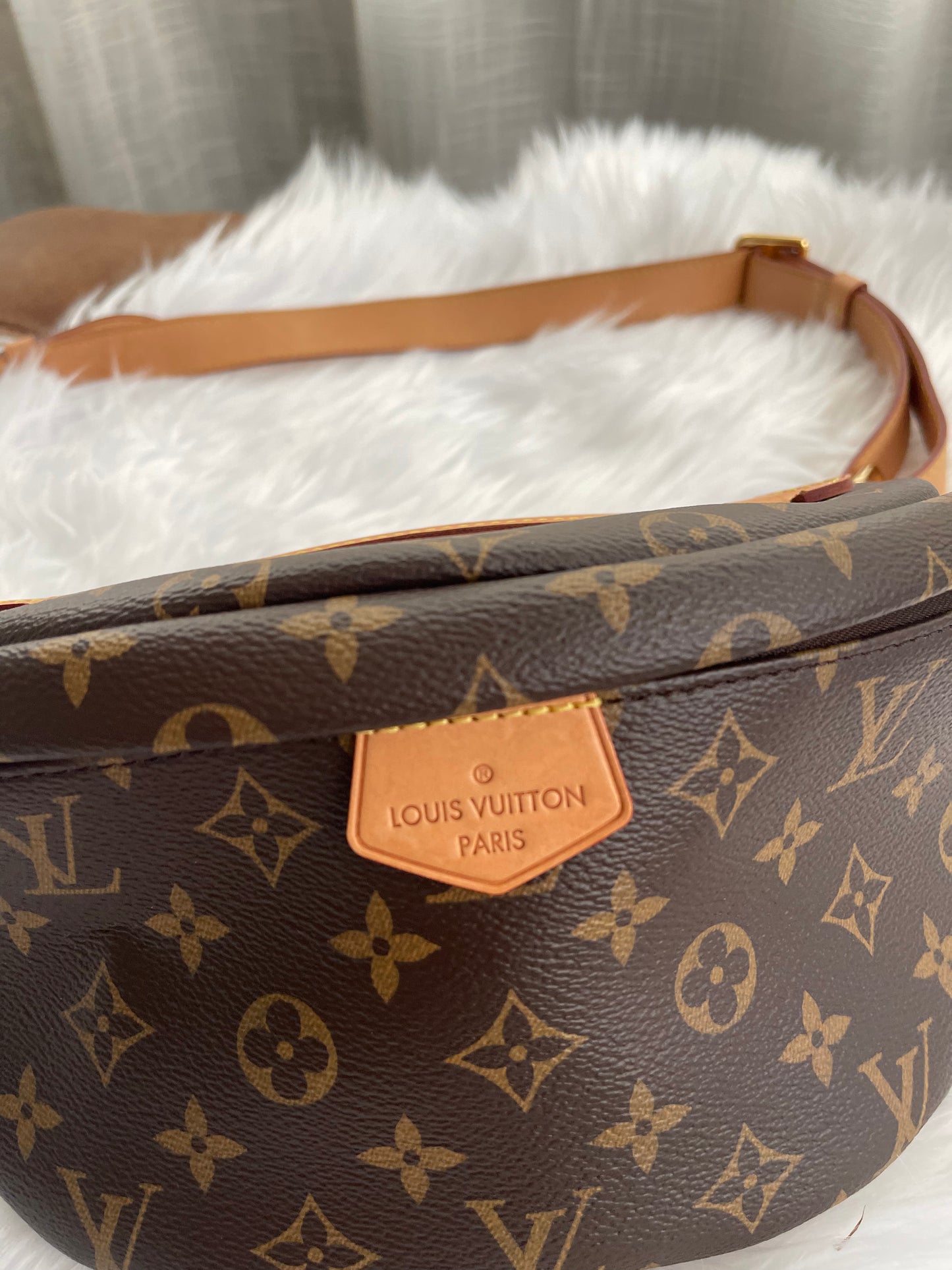 Louis Vuitton Bumbag