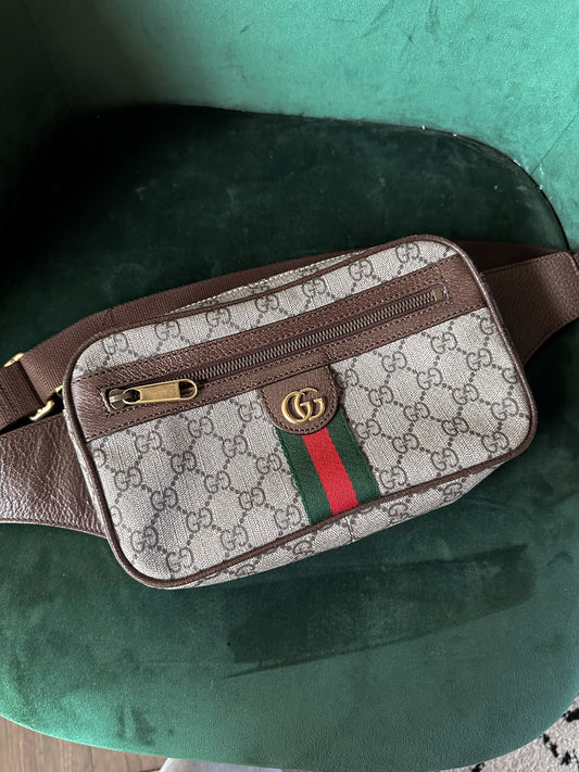 Gucci Ophidia Belt Bag