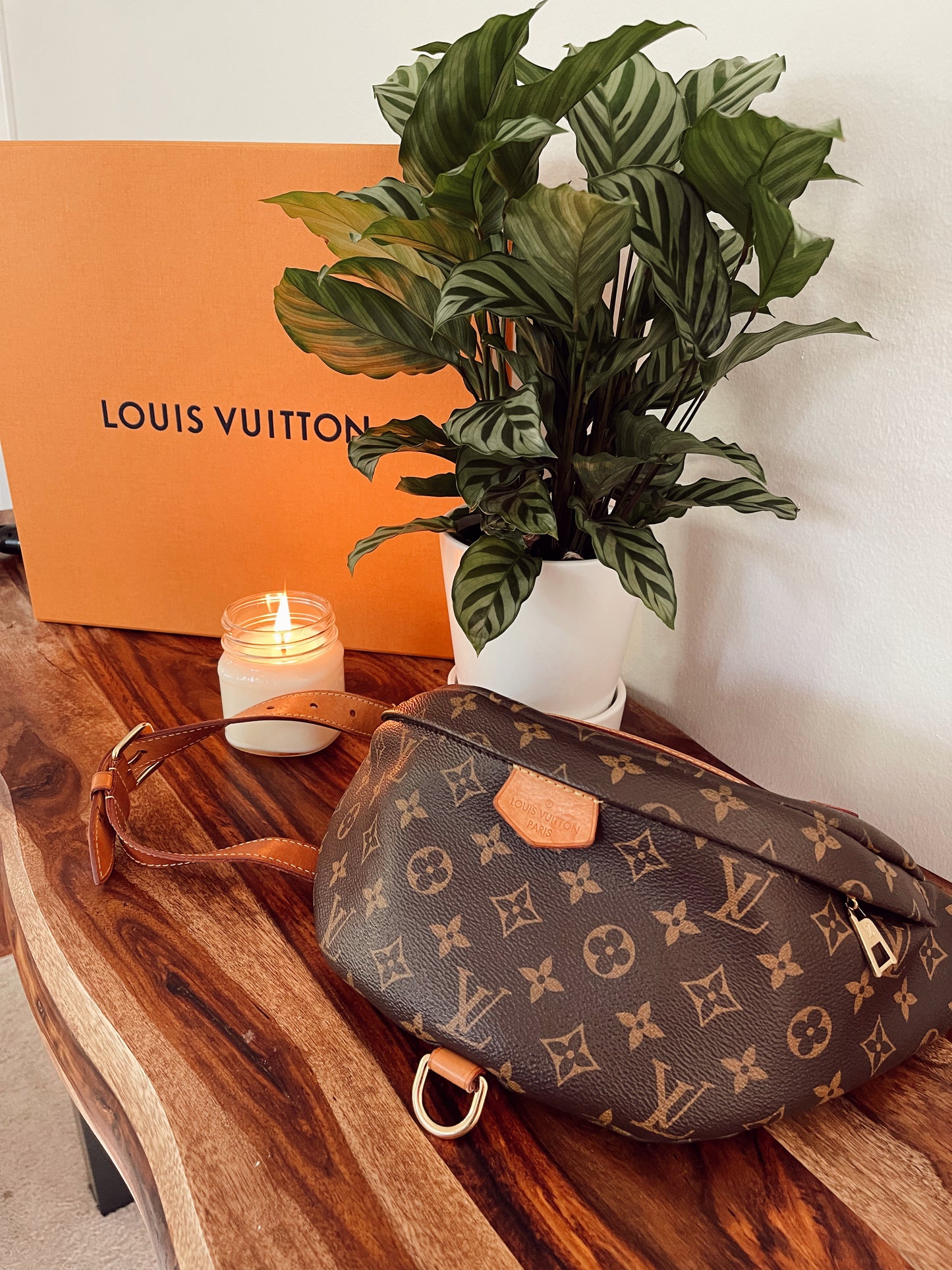 Louis Vuitton Monogram Bumbag