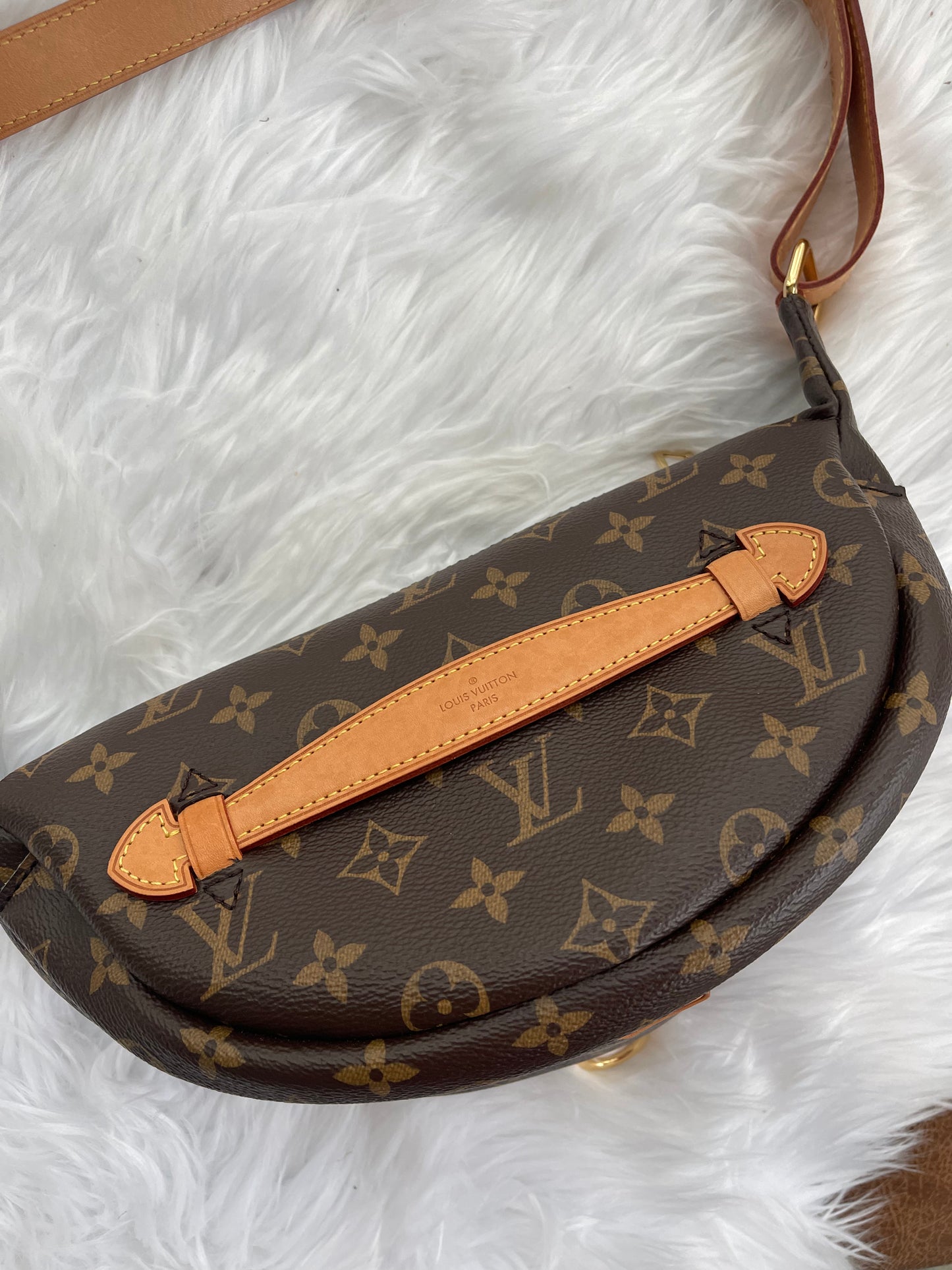 Louis Vuitton Bumbag