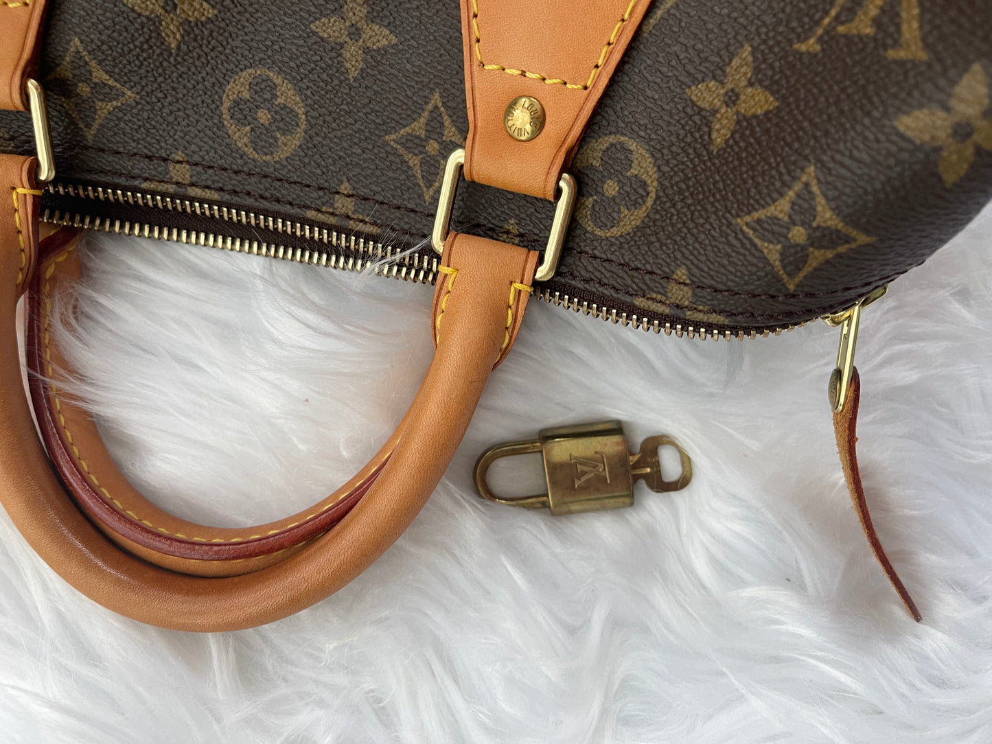 Louis Vuitton Speedy 30 Monogram