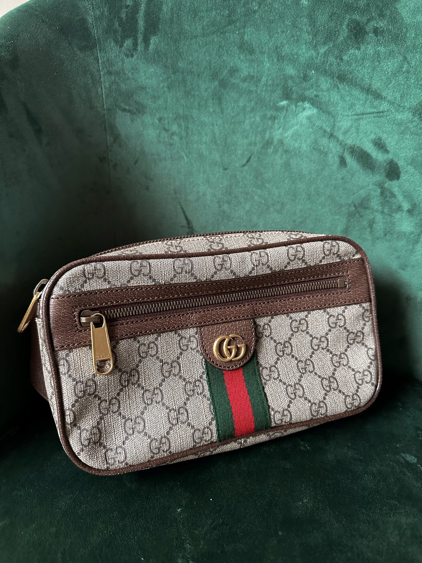 Gucci Ophidia Belt Bag