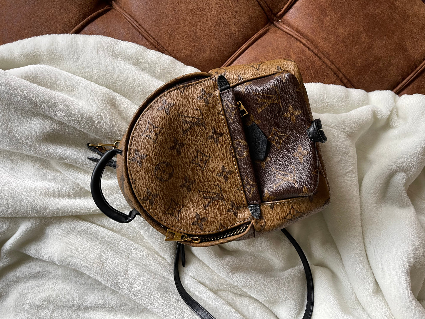 Louis Vuitton Palm Springs Mini Backpack