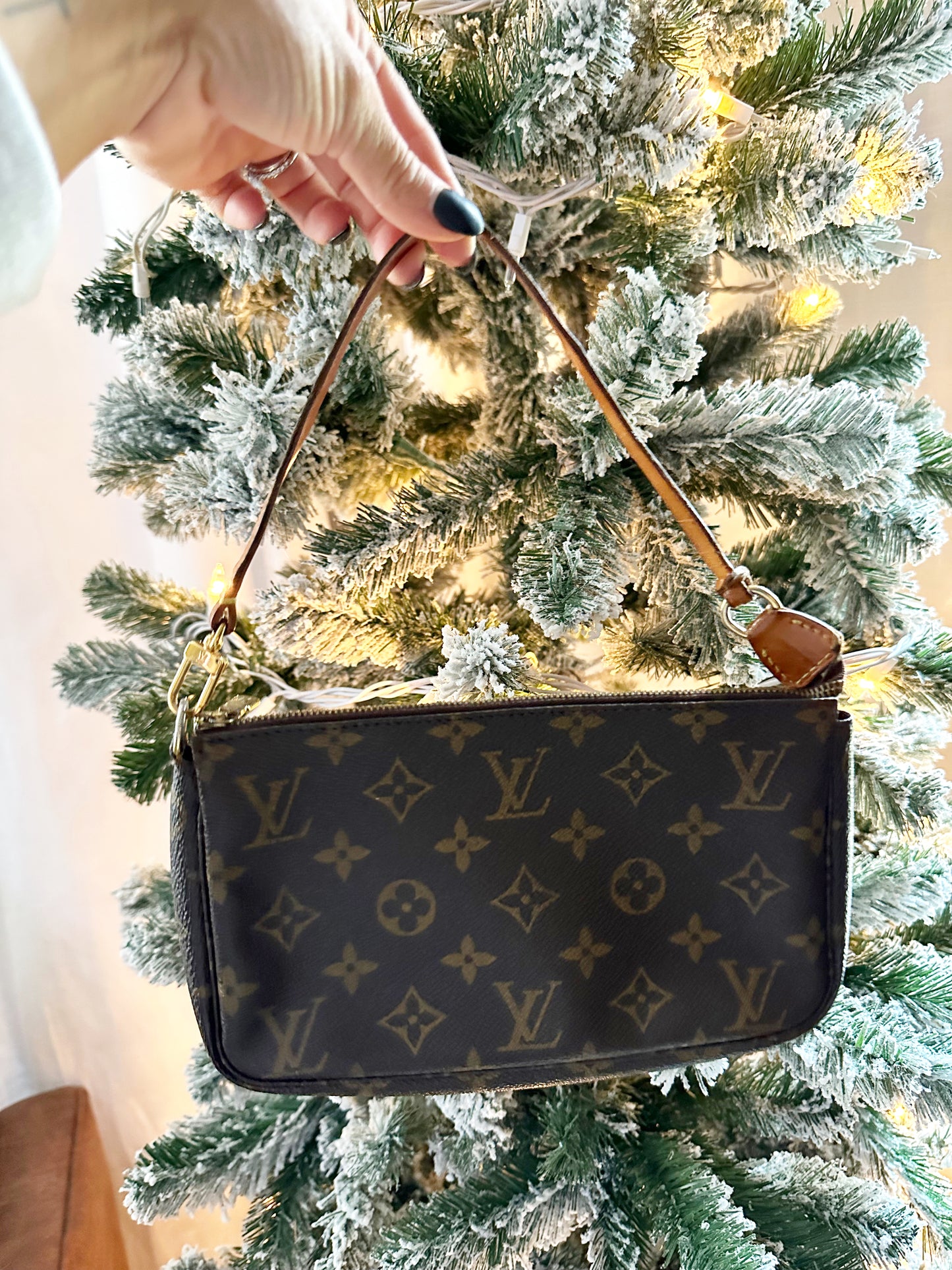 Louis Vuitton Pochette Accessoire