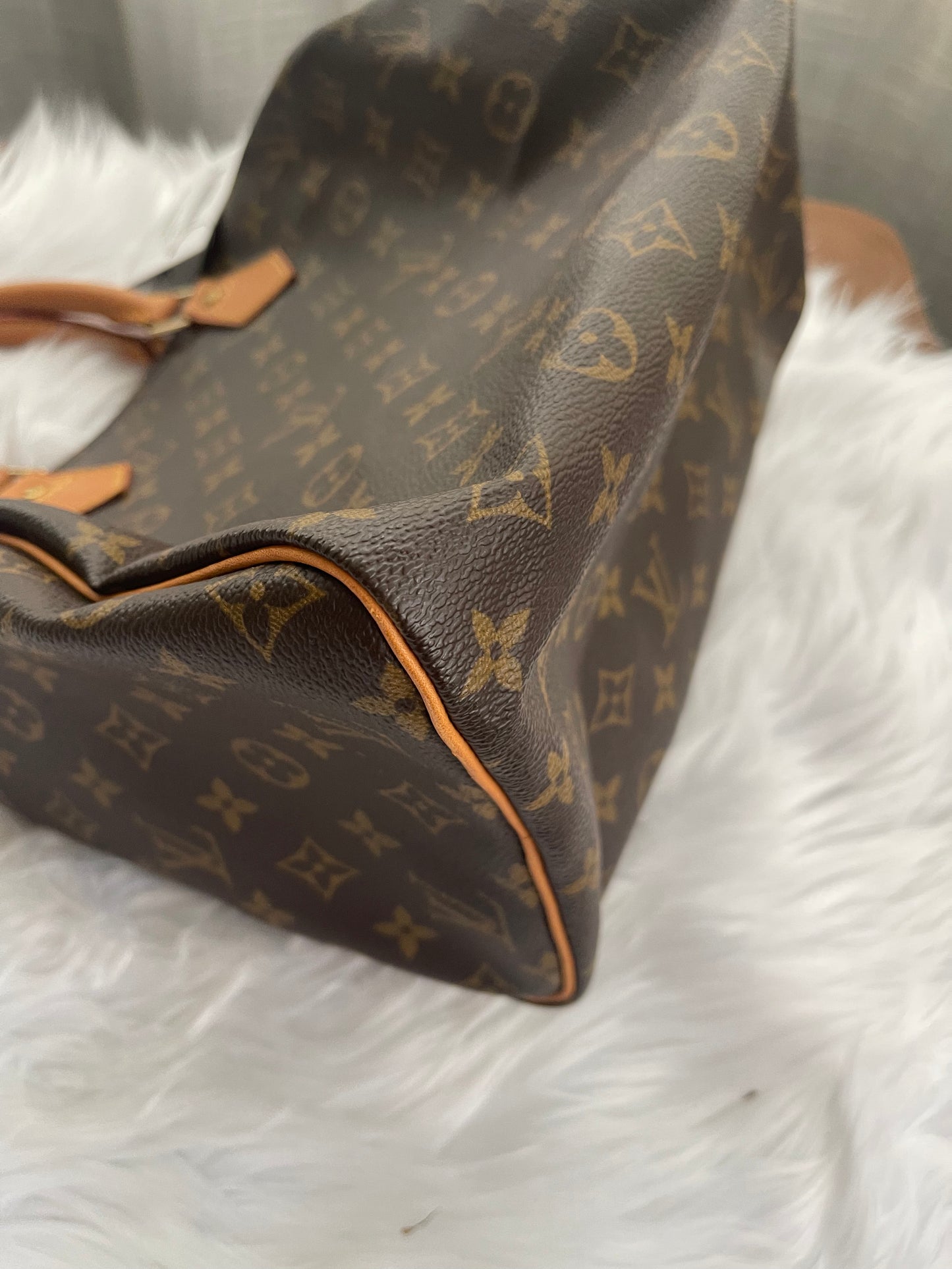 Louis Vuitton Speedy 30 Monogram