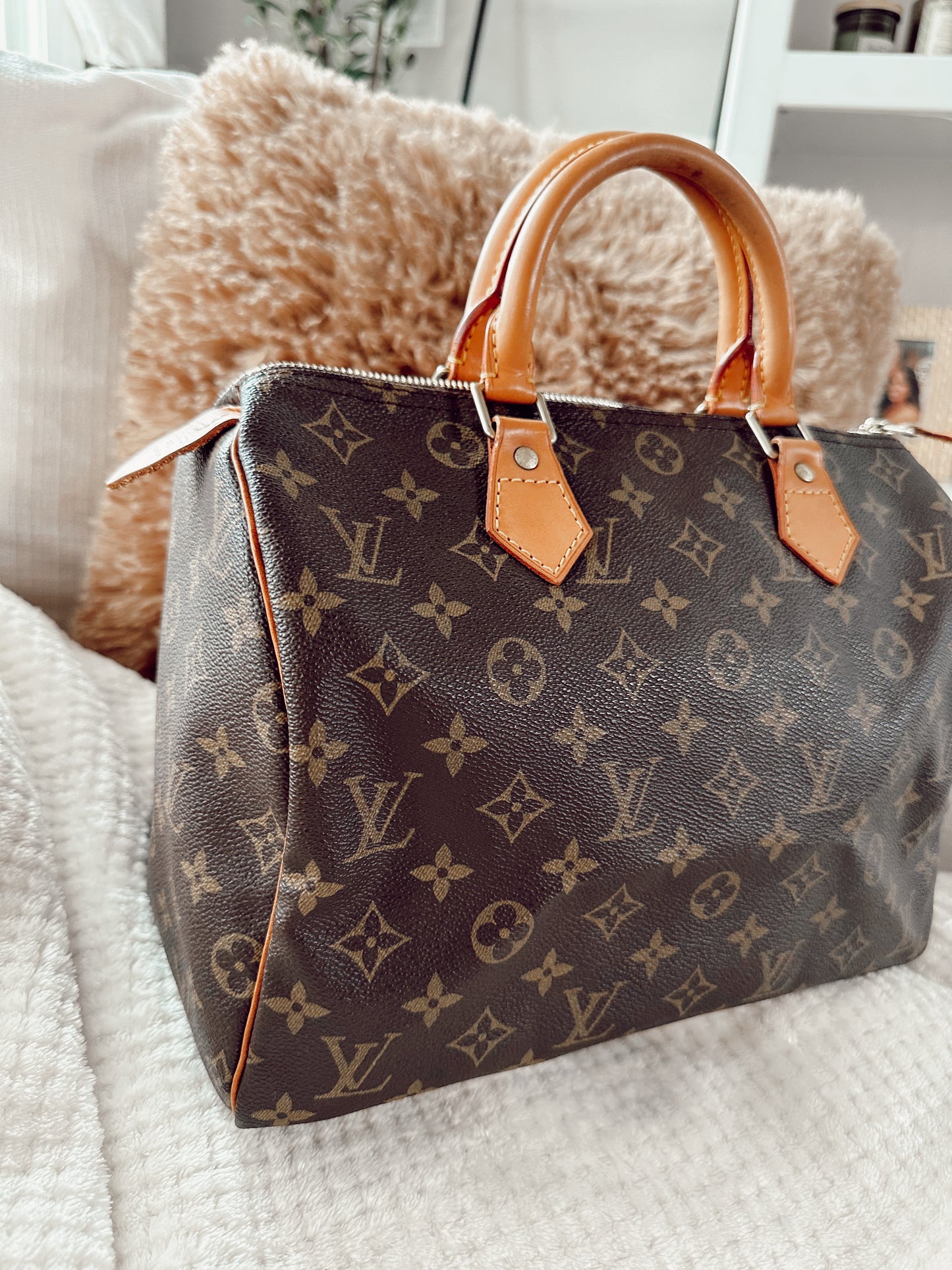 Louis Vuitton Speedy Monogram 30